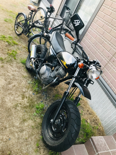 エイプ50 不動 HONDA エイプ50 AC16 キャブ車 スポーツバイク「エイプ