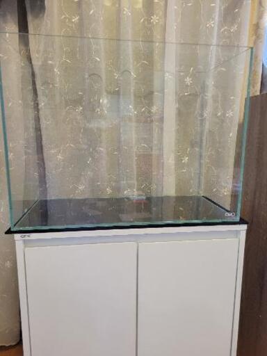 お譲り先決定しました。ADA中古ガラス水槽