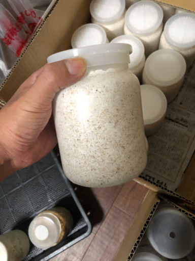 北斗恵栽園　菌糸ビン　37本