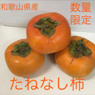 和歌山県産　たねなし柿 ご家庭用　7.5キロ