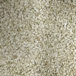 【値下げ】令和3年産もち米　もちみのり30kg玄米