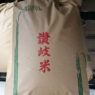 新米　香川県産コシヒカリ　玄米30kg