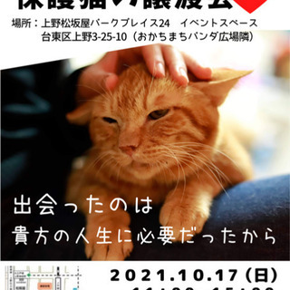 パネル展示による保護猫❤️譲渡会in東京都上野