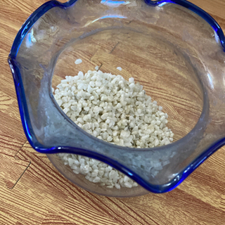 金魚鉢　白い砂  (決まりました)