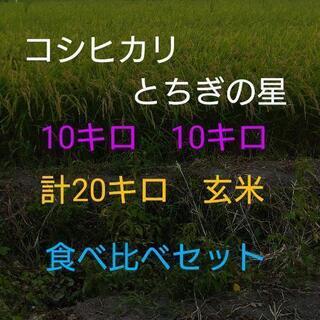 R3産　コシヒカリ　とちぎの星　10kg  10kg 計20kg...