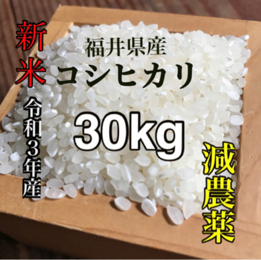 令和3年産 新米 コシヒカリ30kg 福井県産 低農薬