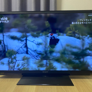 【決まりました】液晶テレビ40インチ　シャープAQUOS