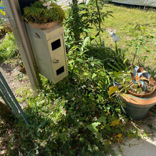 植木、植物、花壇用土など(10/4更新)