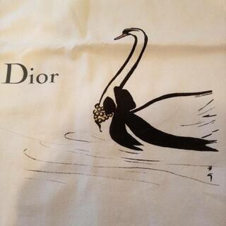 Christian Dior　新品　大きめ袋１枚