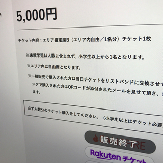 【ネット決済・配送可】三陸花火競技大会チッケット2枚 値下げ中！