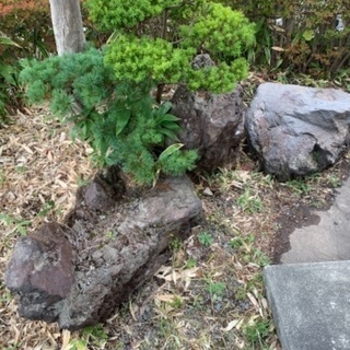 造園用の石　庭石　日本庭園