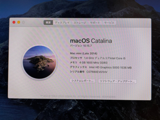 その他 SSD 256GB Mac mini Late 2014