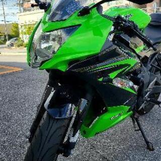 カワサキ｜KAWASAKI ニンジャ250SL | Ninja 250SL