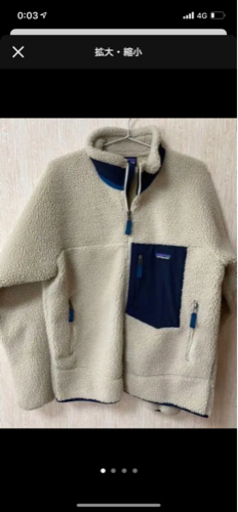 パタゴニア Patagonia レトロX