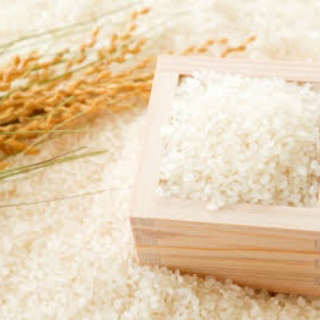 【ネット決済】農薬不使用　ひとめぼれ　玄米　蔵出しセール　10キロ　