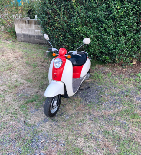 34 ホンダ スクーピー 原付 バイク 50cc 車体