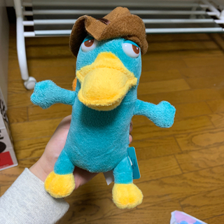 カモノハシの中古が安い 激安で譲ります 無料であげます ジモティー