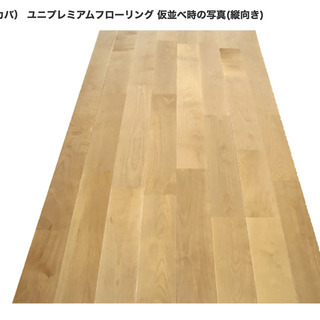 【フローリング】バーチ2箱 新品 無垢フローリング バーチ