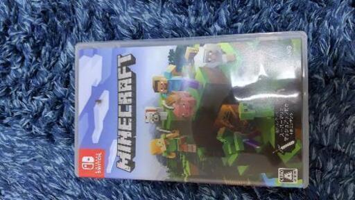 スイッチライト本体+マイクラ | www.doralfootandankle.com
