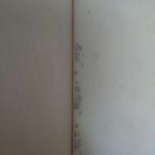 グンタ・ロン・サーフボード