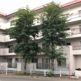 オープンハウス開催！トーカンマンション幌平橋（札幌市中央区南16...