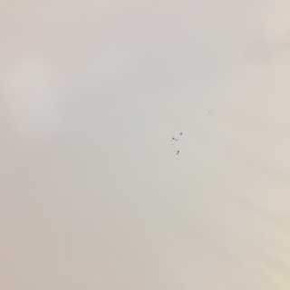 SHARP（シャープ）の２ドア冷蔵庫2012年製（SJｰC17WｰP）です。【トレファク東大阪店】-ステアリング　35Φ ネオクローム　即納◎ 即決大歓迎　