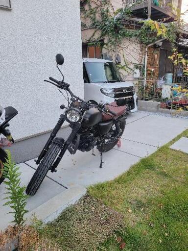 マットモーターサイクルズ　モングレル250