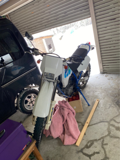 スズキ dr250s