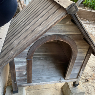 犬小屋　木製　きまりました