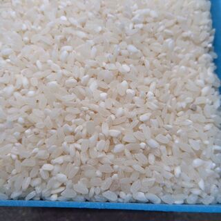 お米　約3kg 　2020年9月収穫　