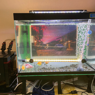 水槽(縦45cm×横60cm×高さ45cm)一式セット