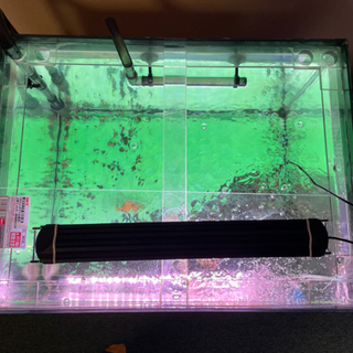 水槽(縦45cm×横60cm×高さ45cm)一式セット