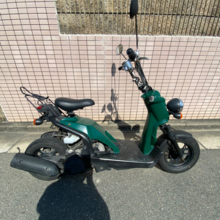バイト！サイスタつき！