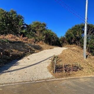 鹿嶋市荒野の山林