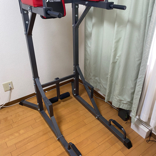 トータルフィットネス 懸垂マシン