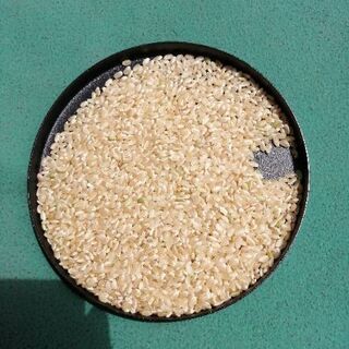 令和2年産あきさかり　保冷庫米30㌔玄米