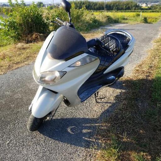 グリップヒーター付き マジェスティ250 ヤマハ SG15J 【公式通販】