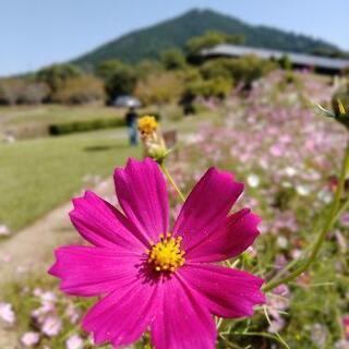 ★10月10日☆宝満山探検隊！