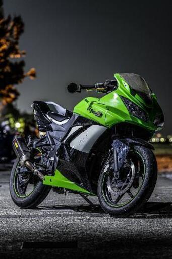 Kawasaki】Ninja250rSE 社外カウル 社外マフラー 現状渡し