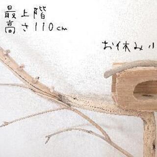 流木バードタワー・止まり木No.77