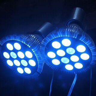 LEDスポットライト 青１０灯　紫外線２灯 海水 植物育成 熱帯...