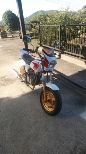 エイプ改　80cc CB風