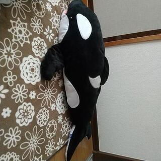 シャチのぬいぐるみ