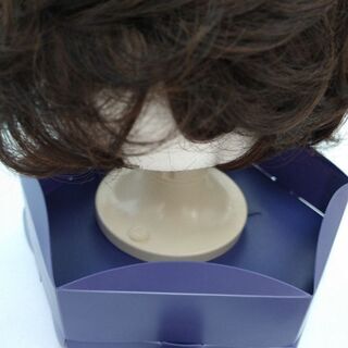 フォンテーヌレディースウィッグ新品未使用 女性用ウィッグ 未使用 フォンテーヌ