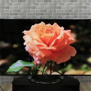 【ハッピー西葛西店】液晶テレビ　55インチ　BRAVIA[ブラビ...