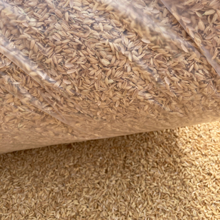 すくも 家庭菜園 温床 土壌改善 籾殻 猫砂代用 除草シート代用