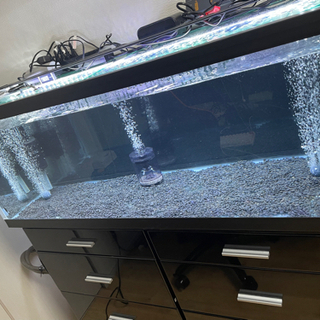 1200×450×450ガラス水槽