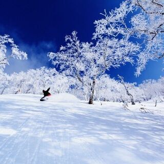 北海道スキー・スノボツアー（日程だけ同じでほぼ別行動も可）