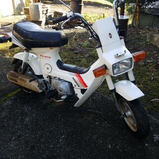ホンダシャリー CF50 ノーマル 旧車