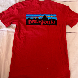 patagonia パタゴニアTシャツ　